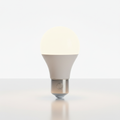 Smart LED Light Bulb